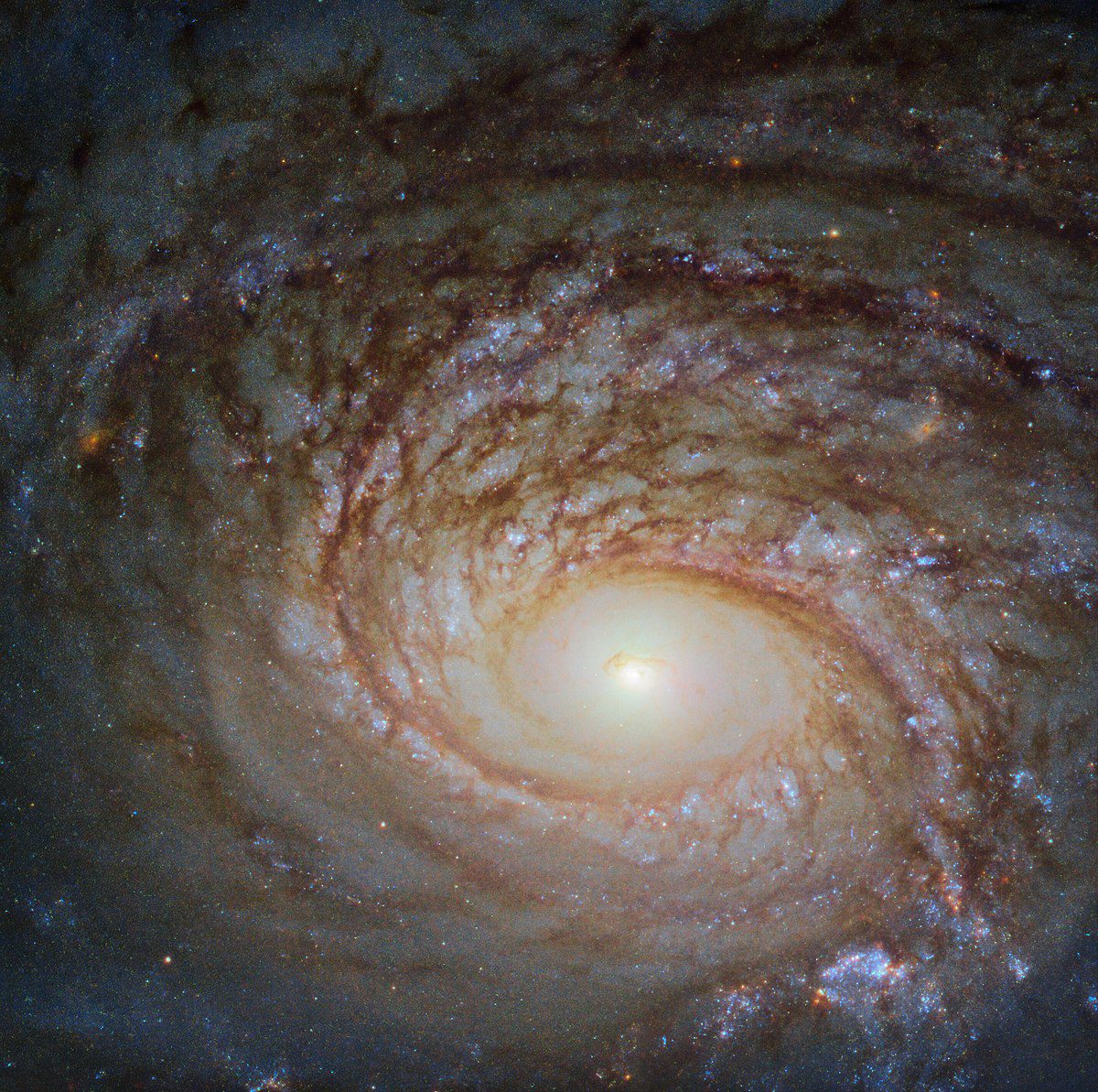 مجرة NGC 772