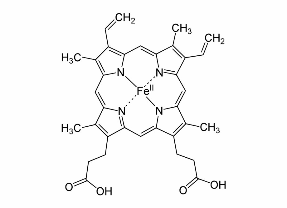 الصيغة الكيميائية للهيموجلوبين
