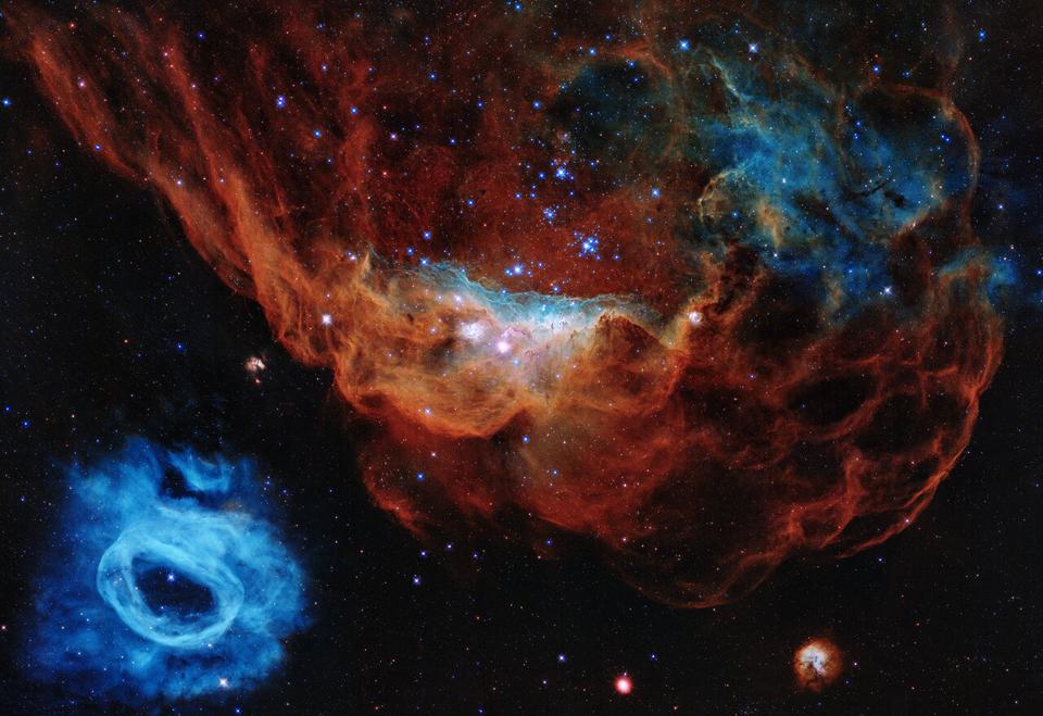 السديمين العملاقين NGC 2014 وNGC 2020