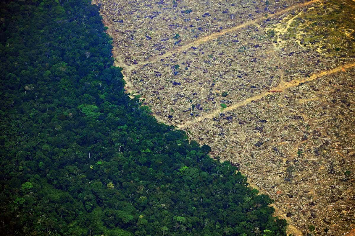 https://www.newscientist.com/article/2214734-its-officially-now-the-worst-ever-august-for-amazon-deforestation/