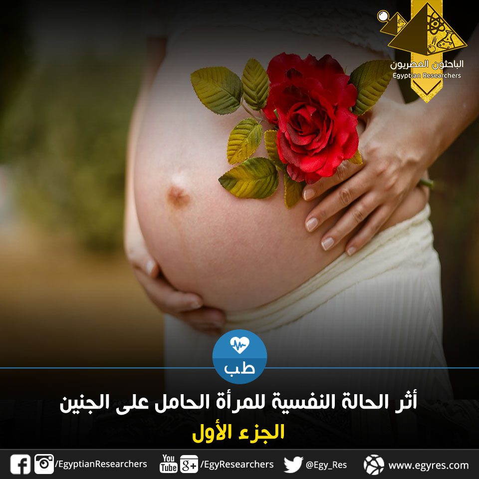 أثر الحالة النفسية للمرأة الحامل على الجنين الجزء الأول