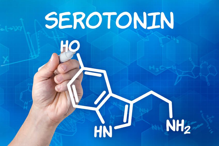 serotonin|