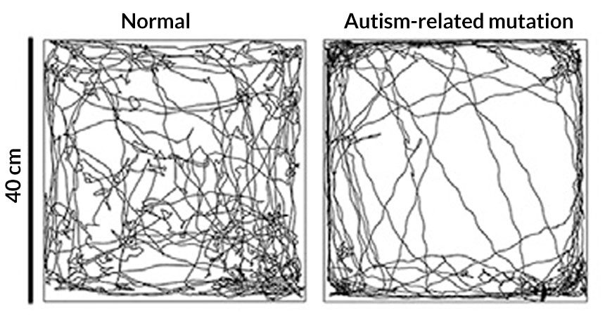 060916_ls_autism-main_free.jpg