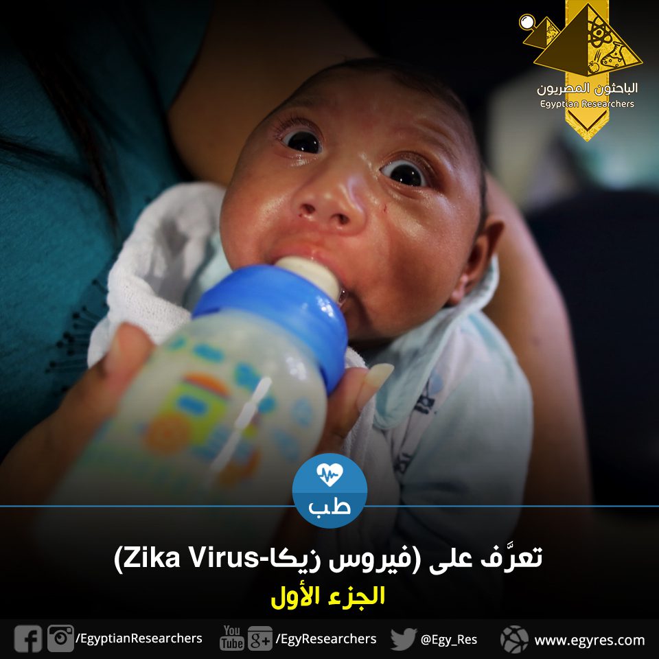 تعرَّف على (فيروس زيكا- Zika Virus)|اعراض فيروس الزيكا|تعرف علي فيروس الزيكا