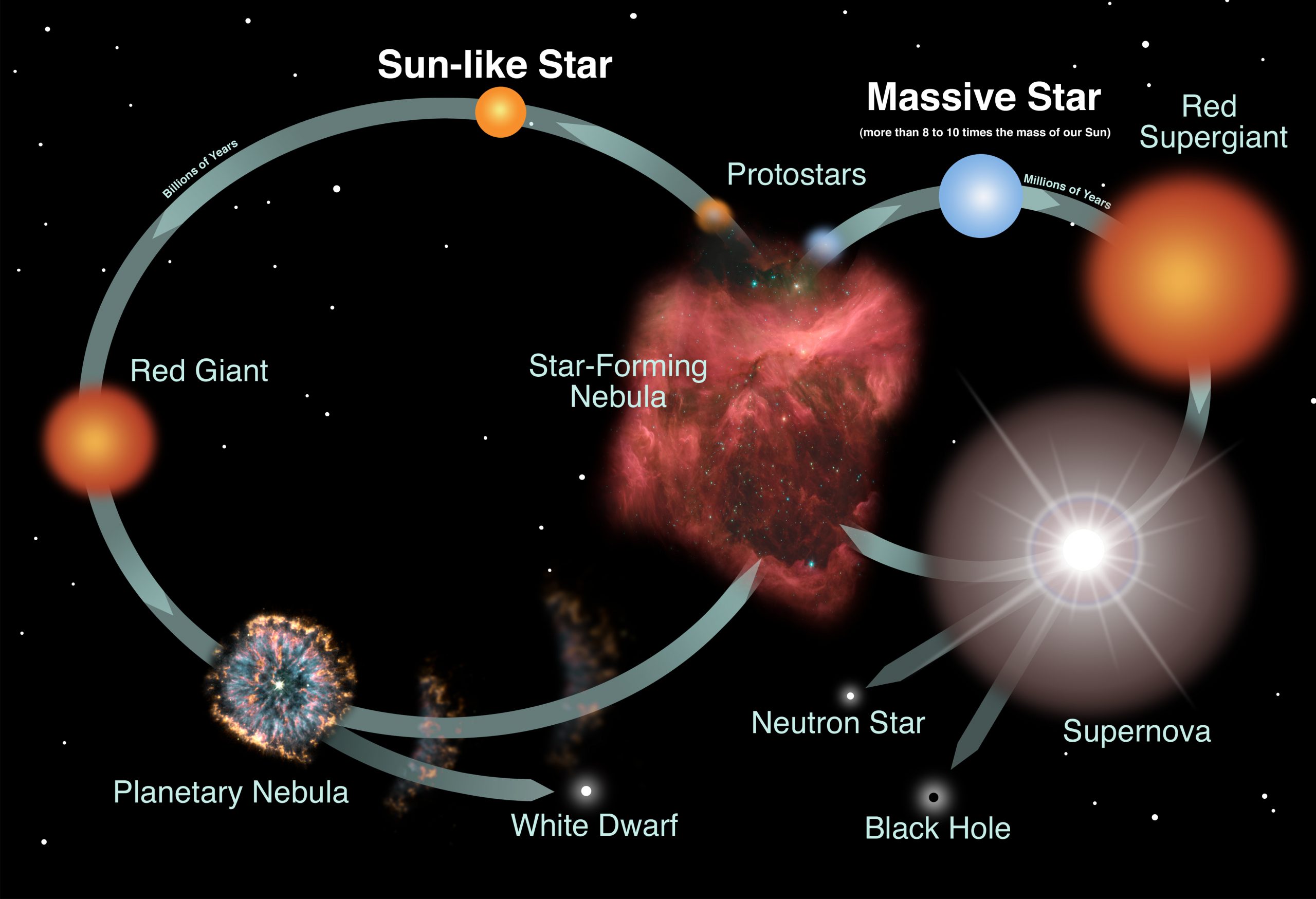 شكل يوضح دورة حياة النجم منخفض الكتلة مثل الشمس ( يسار الصورة) وعالي الكتلة ( يمين الصورة).