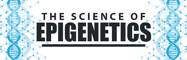 علم ما وراء الجينات|علم ما وراء الجينات