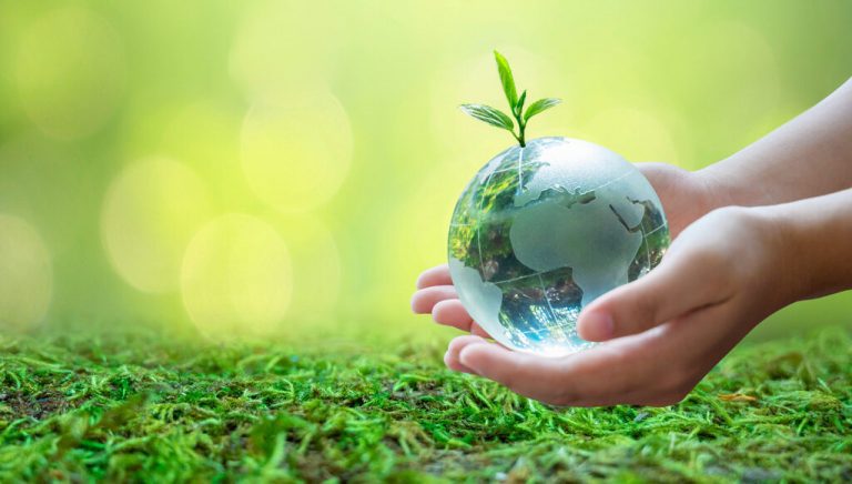الاقتصاد الحيوي وآثاره على النمو الاقتصادي والتنميّة المستدامة