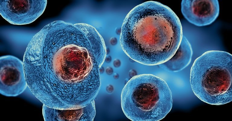 الخلايا الجذعية السرطانية: أمل جديد في علاج السرطان