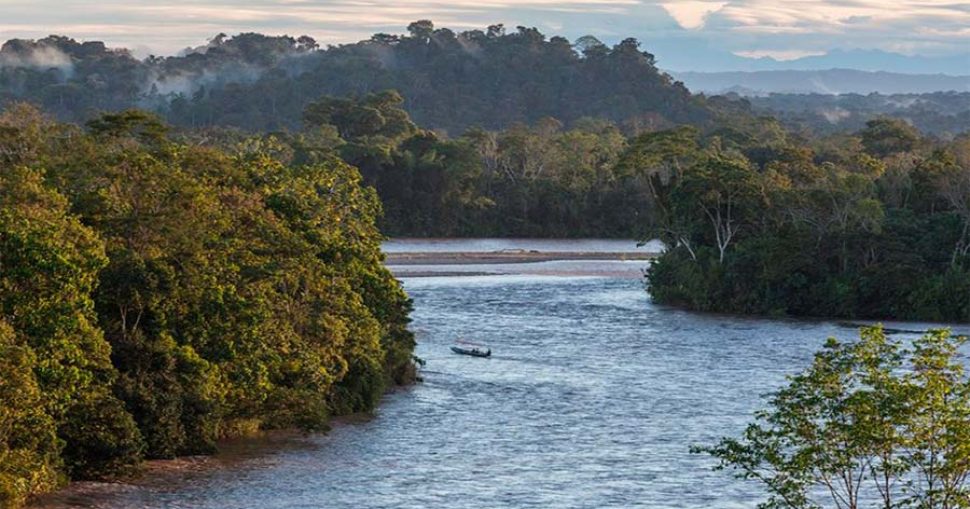 Ask-in-the-Forest-Day-Who-owns-the-Amazon-rainforest-Website-SGK-PLANET-Article-by-Sandor-Alejandro-Gerendas-Kiss