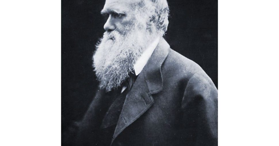 Charles-Darwin-photograph-Julia-Margaret-Cameron-1868