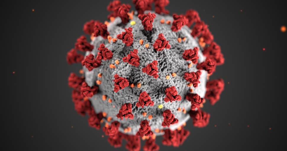 Coronavirus_3D_illustration_by_CDC_1600x900