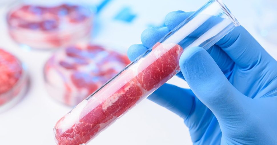 FDA-lab-meat