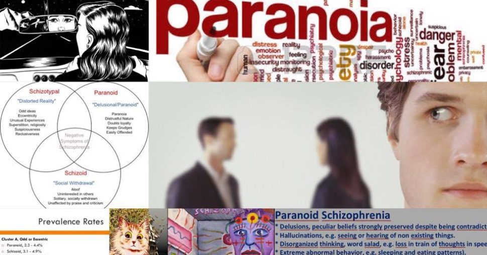 Paranoid_Article