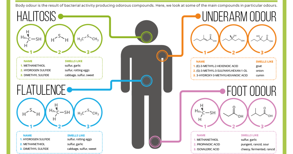 The-Chemistry-of-Body-Odours-2015