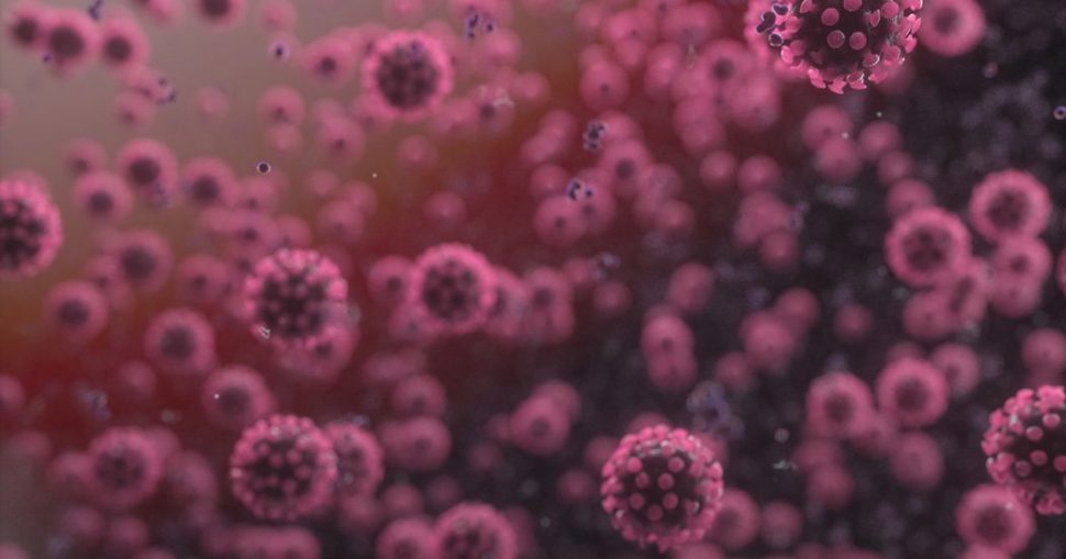لماذا المضادات الحيوية غير فعالة في مقاومة الفيروسات؟