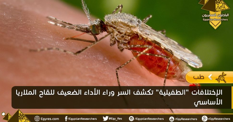 الملاريا_f1